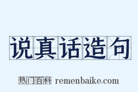 说真话造句是什么意思的图片
